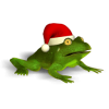 Christmas Super Frog