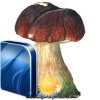 Cobian Backup
