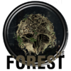 The Forest