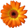 Artweaver